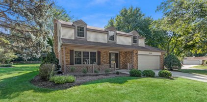 1518 Chickasaw Drive, Naperville