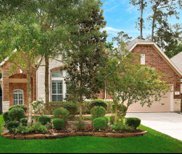 19 Tapestry Forest Place, The Woodlands image