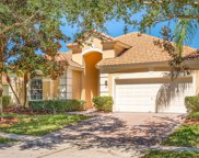 11015 Belmere Isles Court, Windermere image