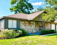 29603 Binefield Street, Spring image
