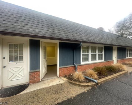 20 Shawnee Dr -UNIT G, Watchung Boro