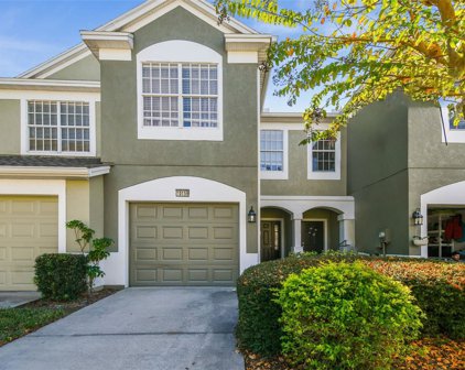 10159 Pink Palmata Court, Riverview