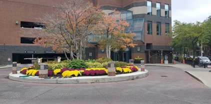 3660 N Lake Shore Drive Unit #511, Chicago
