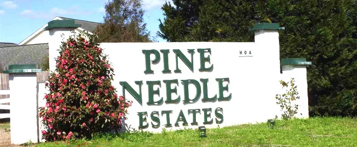 Homes for Sale in Pine Needle Estates, Longs