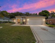 12923 Se 90th Court Road, Summerfield image
