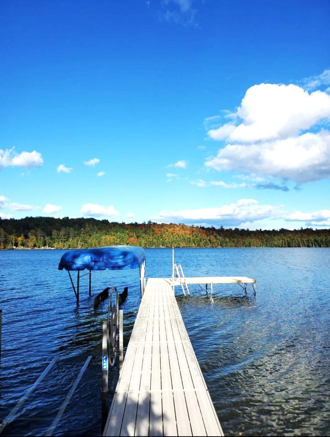 41602 Turtle Lake View Trail Trail, Bigfork, 56628