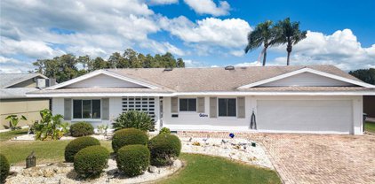 1613 Bunker Hill Drive, Sun City Center