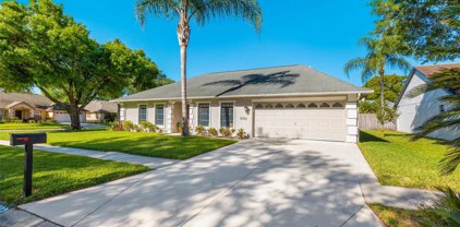18302 Cypress Stand Circle, Tampa