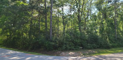 Paradise Point Dr, Willis