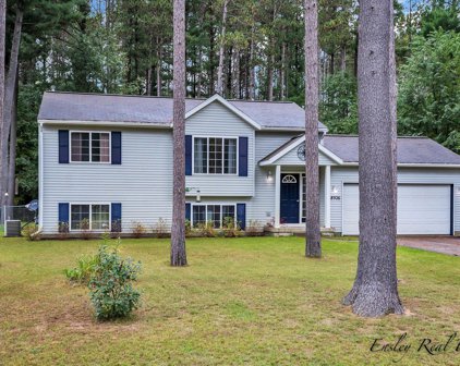 18926 Tall Timbers Drive, Howard City