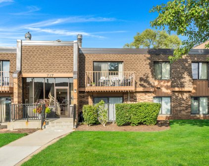 717 Tipperary Court Unit #1D, Schaumburg