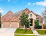 16002 Ponderosa Pass, Helotes image