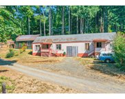 88869 ALDER ST, Swisshome image