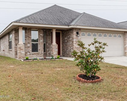 17375 Palm Ridge Drive, D'Iberville