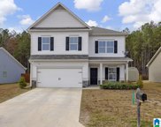 255 Clover Lane, Springville image