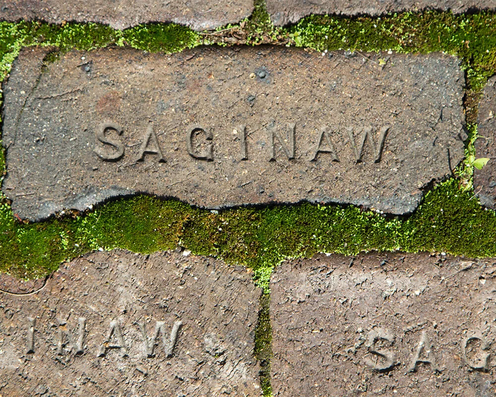 Saginaw County Real Estate