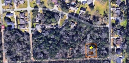 TBD WILLOW DRIVE, LOT 120, Conroe
