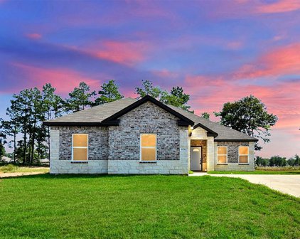 6174 Hazel Lake Drive, Conroe