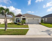 12956 Satin Lily Drive, Riverview image