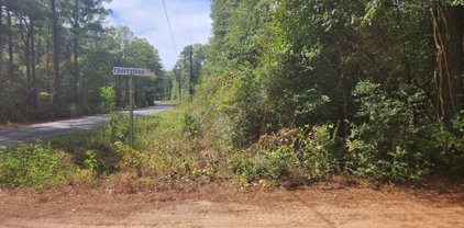Lot 1 Cherry Tree Lane, Plantersville