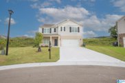 7043 Turnberry Highlands Cove, Gardendale image