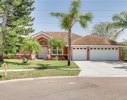 409 Pine Warbler Way N, Palm Harbor image