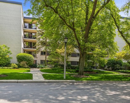 415 Franklin Avenue Unit #5A, River Forest