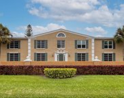 1097 Eden Isle Boulevard Ne Unit 3, St Petersburg image