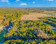TBD Pee Dee Hwy., Conway image