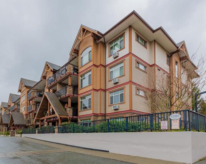 12565 190a Street Unit 317, Pitt Meadows
