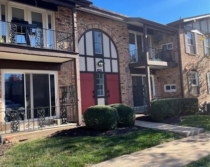 11816 Cresta Verde  Drive Unit #C, St Louis