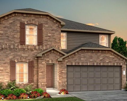 116 Chestnut Gate Drive, Willis