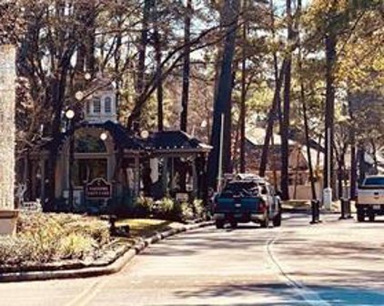 20 Newberry Ct, Montgomery
