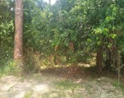 Haines Creek Road, Leesburg image
