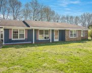 259 Maplewood Drive, Calhoun image