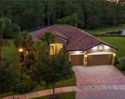 11824 Newcombe Trace, Fort Myers image