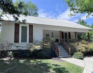 238 Village Springs Road, Springville image