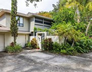114 Parkside Colony Drive, Tarpon Springs image