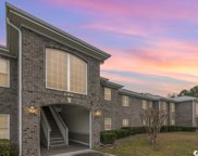 100 Willow Green Dr. Unit F, Conway image