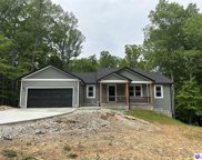 5 Blueberry Point, Brandenburg image