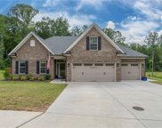1747 Pecan Manor Lane, Lewisville image