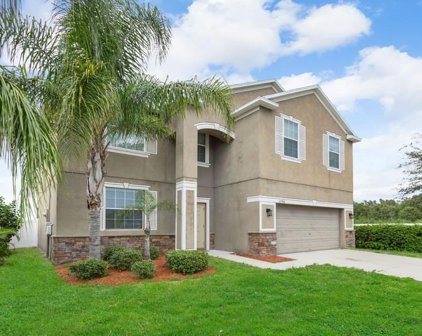 2306 Dovesong Trace Drive, Ruskin