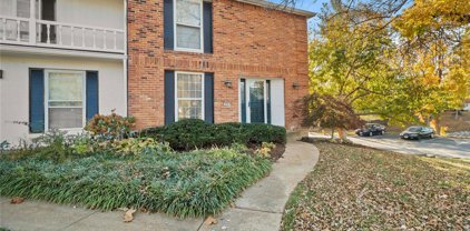 870 Judson Manor  Drive, St Louis