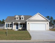 229 Baylee Circle, Aynor image