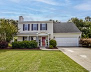 658 Hickory Branches Drive, Belville image