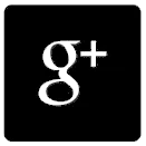 Google Plus