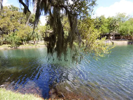 Gemini Springs Debary FL