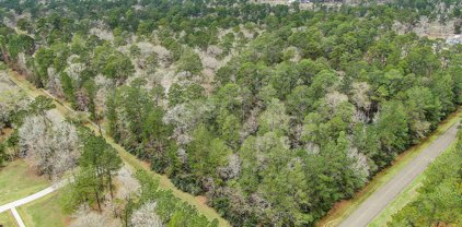 Croger Drive, Magnolia