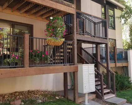 601 S Monarch Street, Aspen