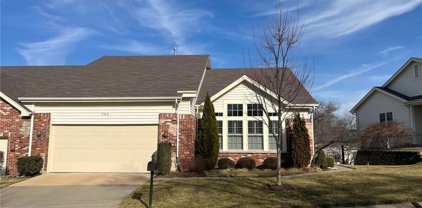 734 Stone Meadow  Drive, Chesterfield
